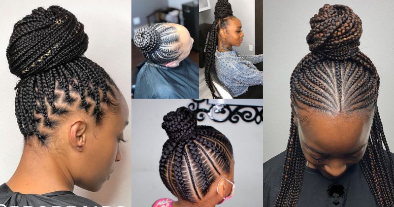 Top 49 Bun-Ready African Braid Styles for a Polished Look!