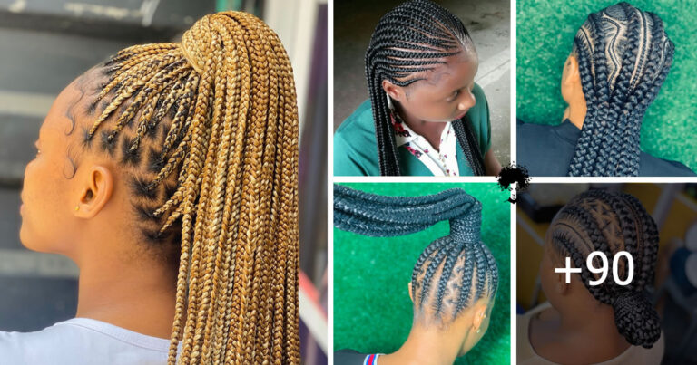 90+ Trendy Braids to Make You Look Fabulous – Get the Latest Hairstyles Here
