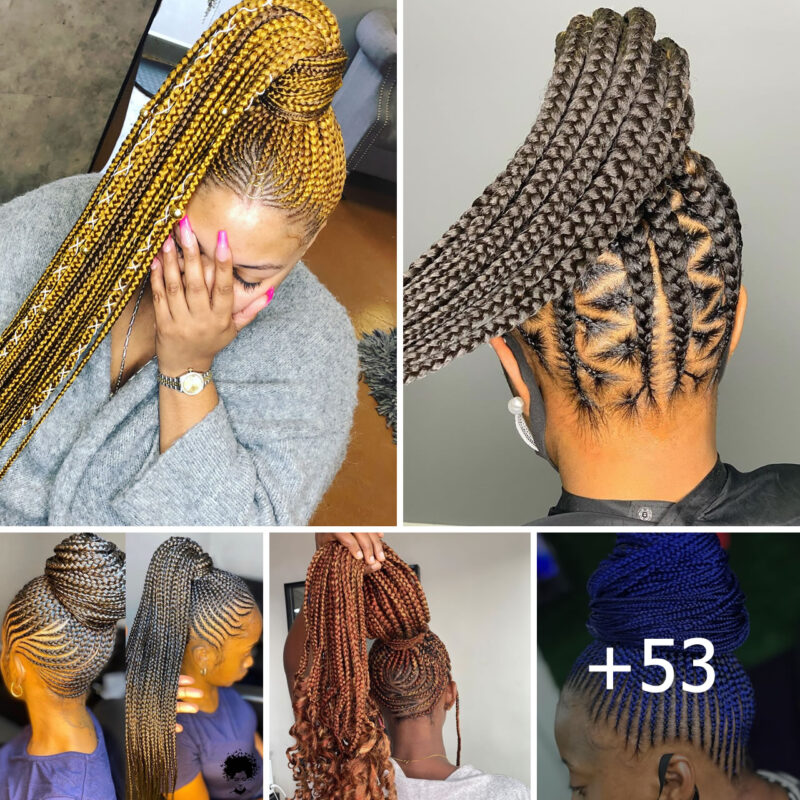 53 Elegant Braid Designs: Photo Guide for Sophisticated Ladies
