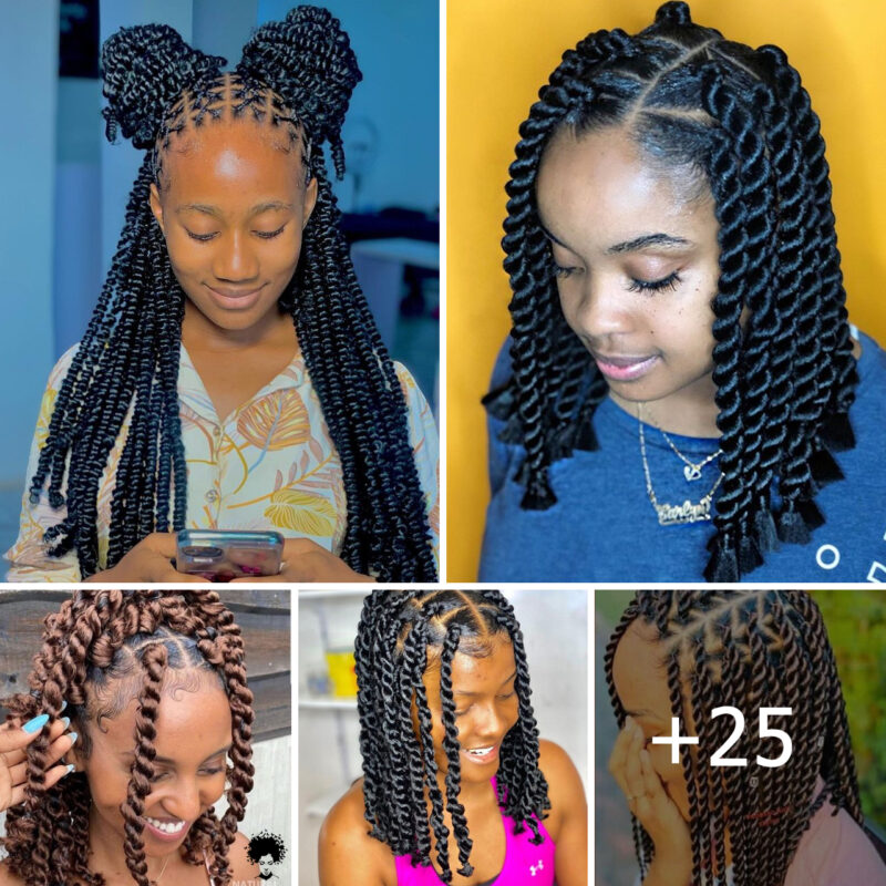 25+ Stunning Twisted Box Braids Hairstyles You Should Consider.