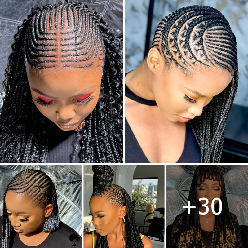 Fresh Looks for 2025: Inspiring Pictures of the Latest Braided Hairstyles