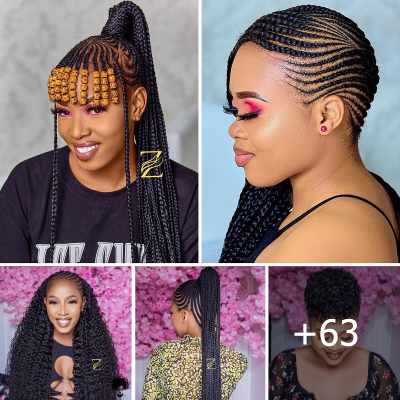 +63 PHOTOS: Premium Knotless Braids Hairstyles