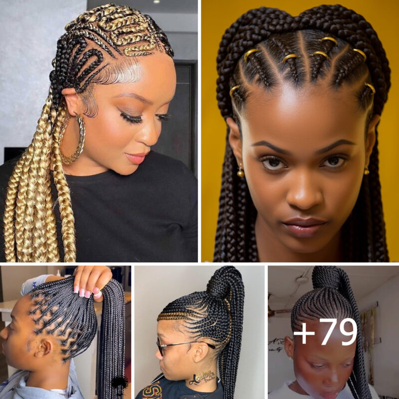 +79 PHOTOS: Luxury Braided Hairstyles For Ladies