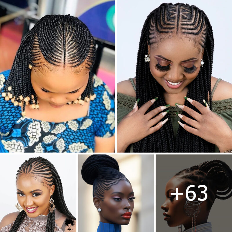 2024 Braids Hairstyles You Should Watch Out For | Best Braids Hairstyles Ideas For Ladies
