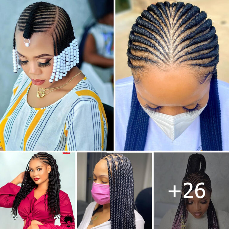 26+ Braids Styles For Ladies