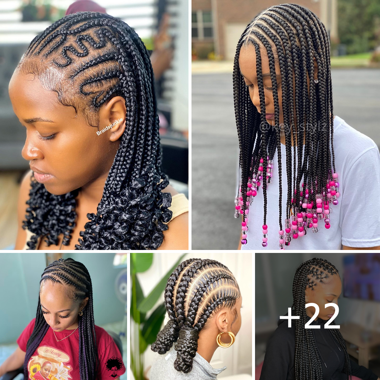 20 PHOTOS: Luxury Braided Hairstyles for Ladies