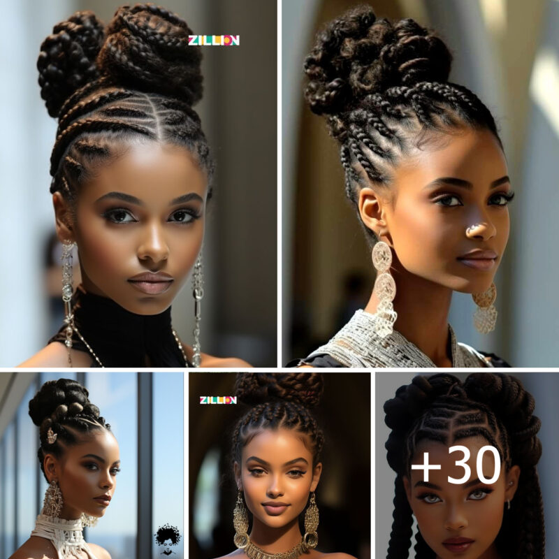 Elegant Braided Updo Hairstyles: Chic Looks for Any Occasion