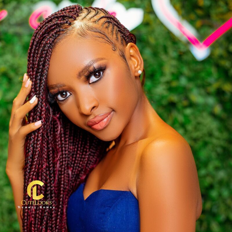 55+ Braided Hairstyles for 2025 You Need to See