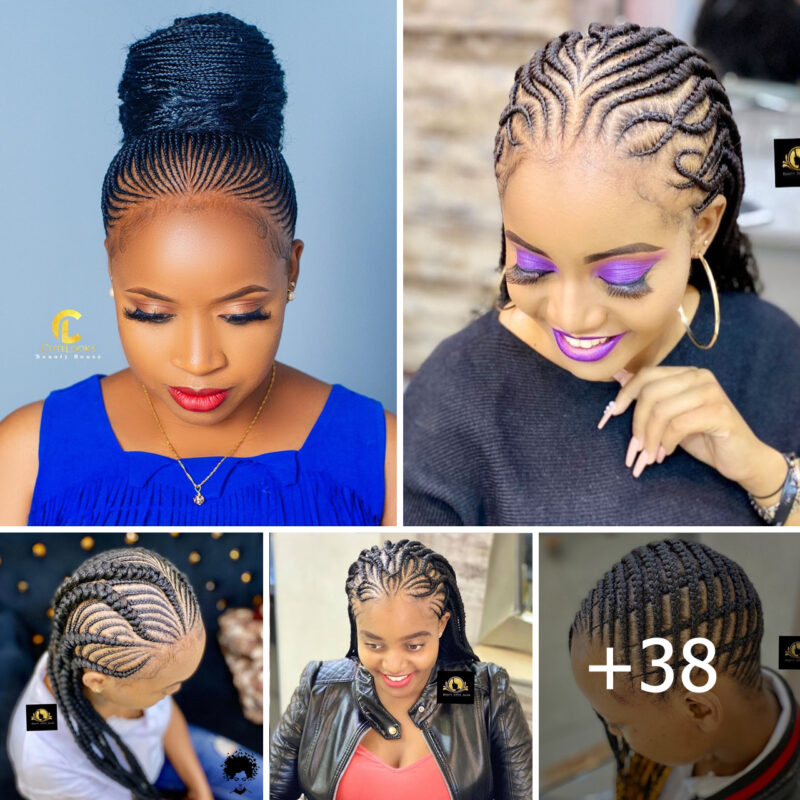 +38 Chic Braided Hairstyles for Women: From Casual to Elegant