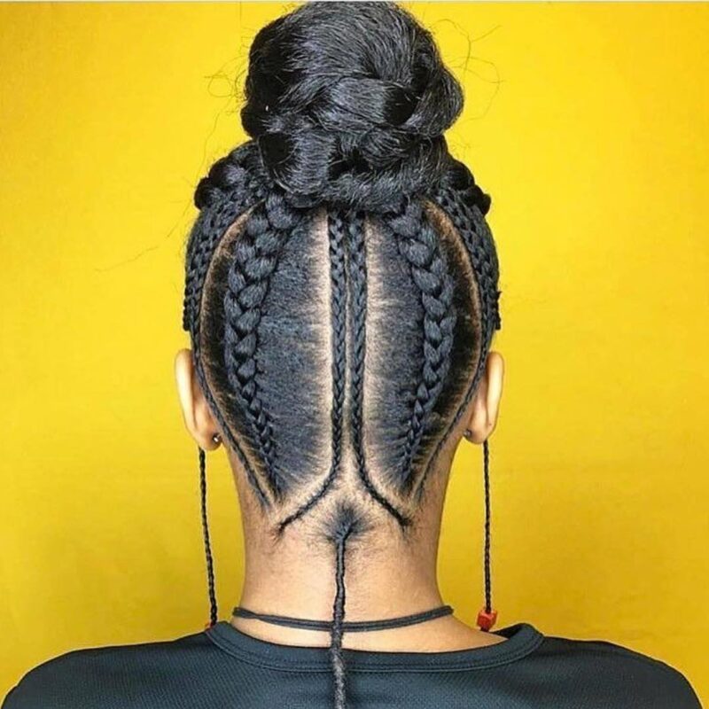 44 Fulani Box Braids Ideas (2024)