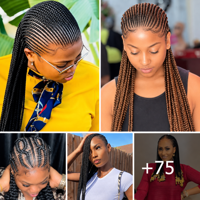 75 HAIRSTYLES: Luxury Braided Styles for Women