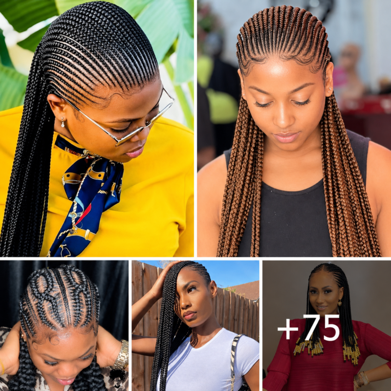 75 HAIRSTYLES: Luxury Braided Styles for Women