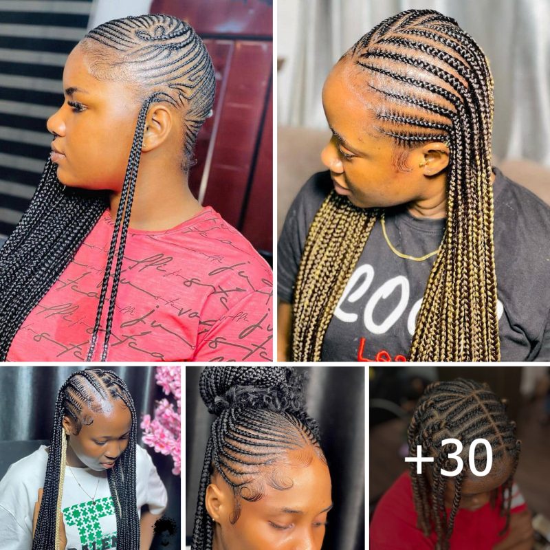 2024’s Must-Try Braid Hairstyles for Women