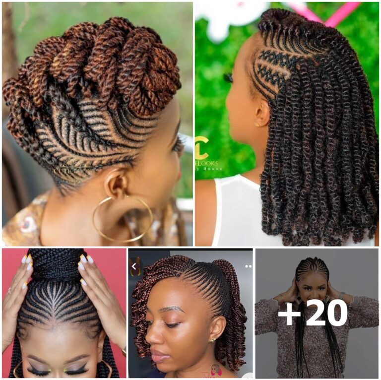 20 PHOTOS: Luxury braided hairstyles for stylish ladies