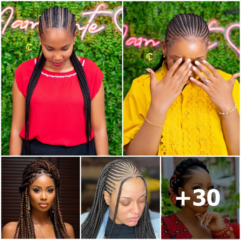 30 PHOTOS: Professional Braided Hairstyles For Ladies