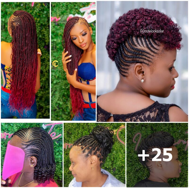 Braided Hairstyles 2025: Stunning Pictures You Need to See