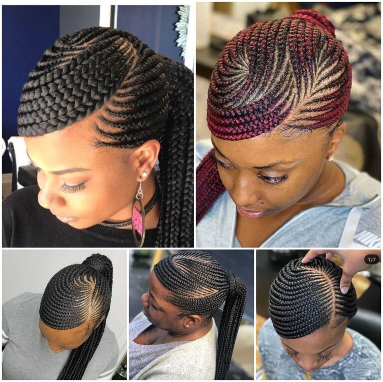Braided Hairstyles Showcasing the Art of Expert Stylists