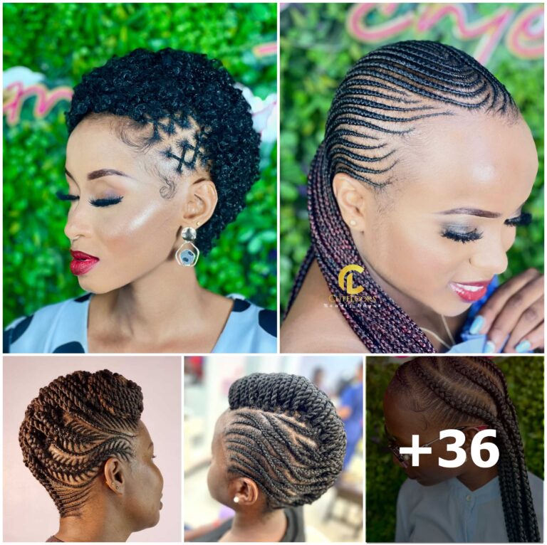 Chic and Stylish Braided Hairstyles for a Graceful Look