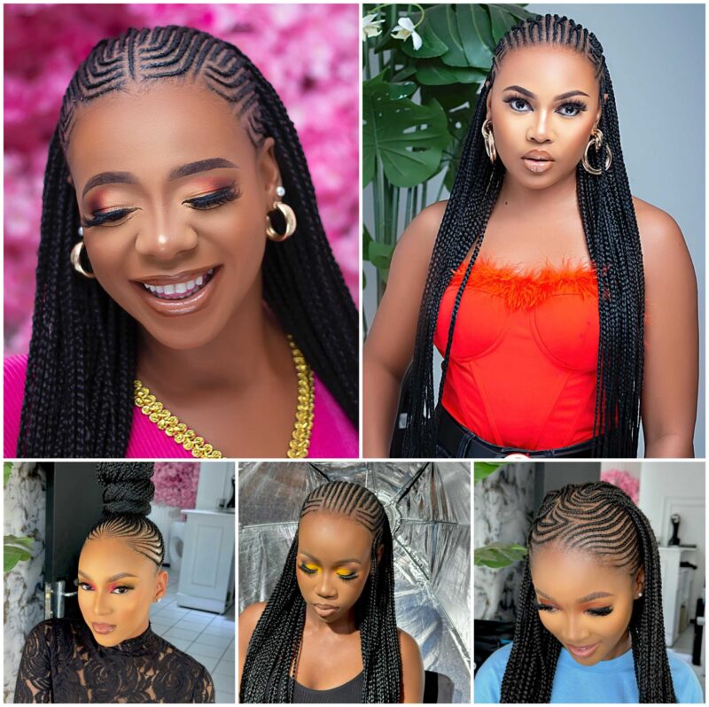 Stunning Black Braided Hairstyles for Women to Try This Season