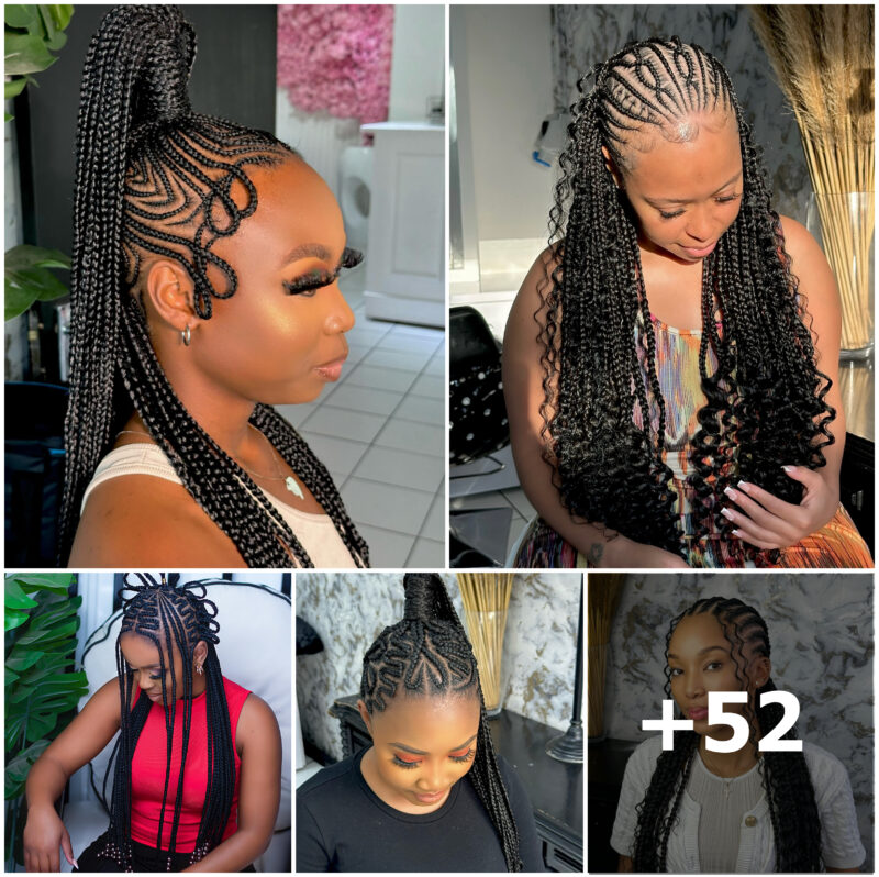 +52 PHOTOS:  Braided Hairstyles 2025