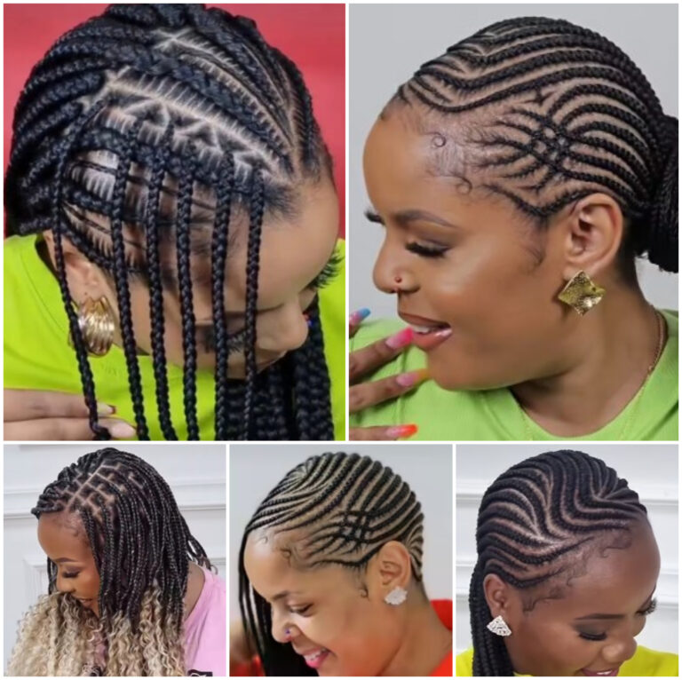 Captivating New Braids Hairstyles That Rocks.