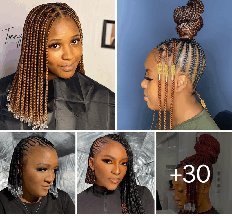 30 PHOTOS: Perfect braided hairstyles for ladies ‎