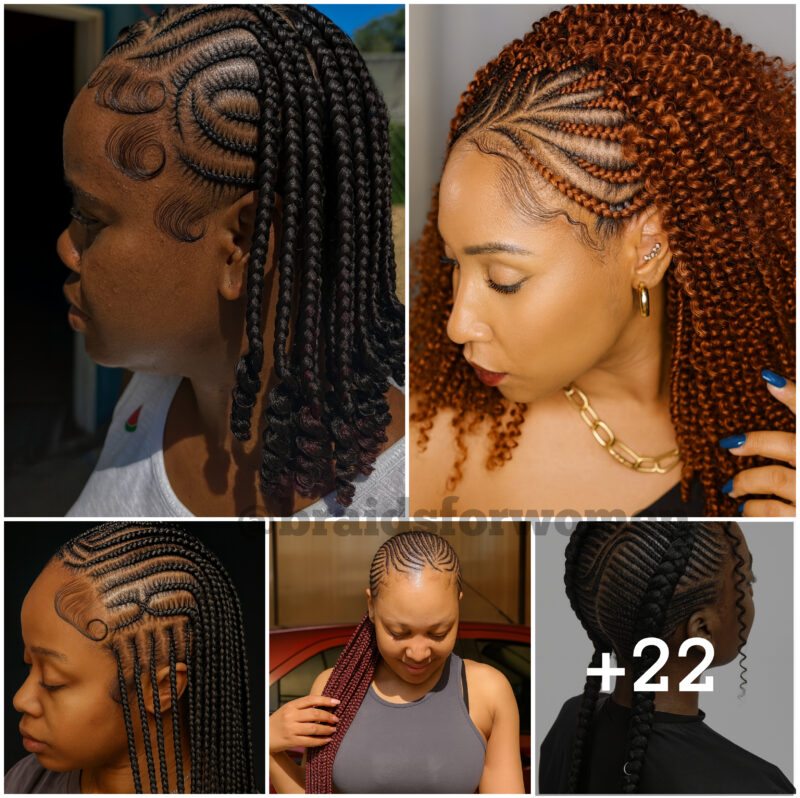22 PHOTOS: Premium braided hairstyles with highlights ‎